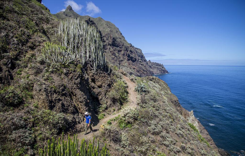 Marody Tenerife House เอลเมดาโน ภายนอก รูปภาพ